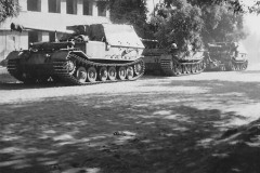 Panzerjager_Tiger_P_Ferdinand_Ukraine_43