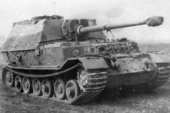 elefant_3-653