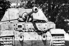 elefant_captured_1-653spz