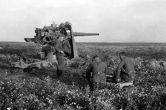 Flak_88_in_anti_tank_position_