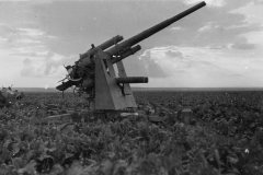 Flak_88_in_firing_position_eastern_front