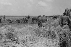 camouflaged_Flak_88_Russia