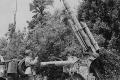destroyed_Flak_88_Montebourg_Normandy_1944