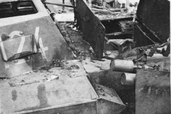 FlammPanzer_II_Flamingo_124_19_PD
