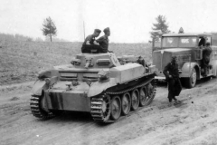 Panzer_II_Flamingo_2