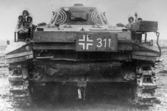 Panzer_II_flamingo_311