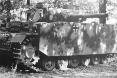 Flammpanzer_III_6PD_Kursk