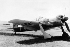 Captured_Fw190A-3