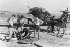 Focke-Wulf_Fw_190_A-5