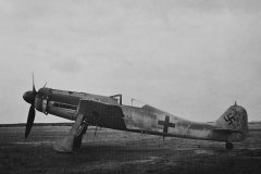 Focke_Wulf_Fw_190D-11