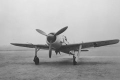 Focke_Wulf_Fw_190_A-6
