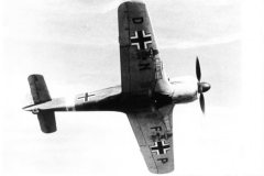 Focke_Wulf_Fw_190_G-3_DN-FP