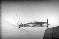 Focke_Wulf_Fw_190_GN-25_in_flight