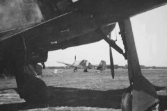 Focke_Wulf_Fw_190_and_Ju87_on_Airfield