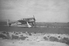 Focke_Wulf_Fw_190_white_12_Siclily_Italy