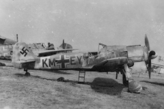 Fw190A_2676_Tunisia