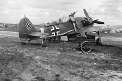 Fw190A_JG_51