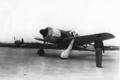 Fw190A_US_markings_44