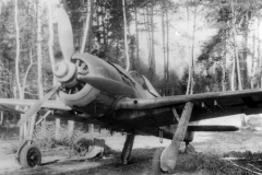 Fw190F-8_R-1_Pardubice_1945