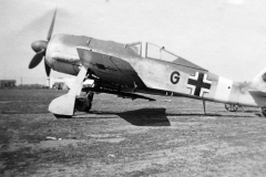 Fw190F_1943