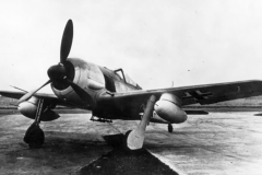 Fw190G-1