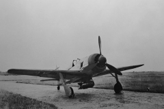 Fw190_A-5_U8