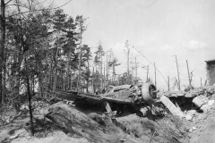 Fw190_Wreck_MANCHING_1945