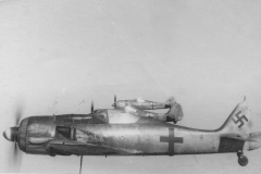 Fw190_blue_13_Walter_Loos