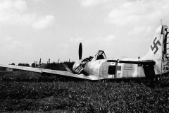 Fw190_yellow_13