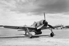 Fw_190A-5_U8