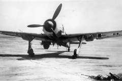 Fw_190A-7_R1