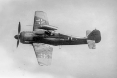 Fw_190A-8