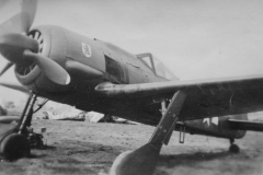 Fw_190A-8_681497