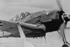 Fw_190A-8_R8_JG_3