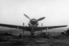 Fw_190F-8