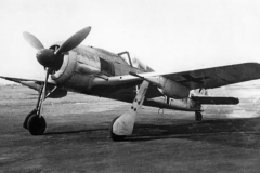 Fw_190F-8_R3