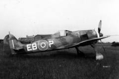 Fw_190F-8_Red_1_Denmark