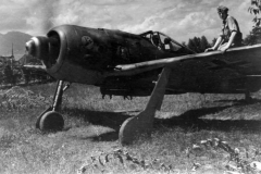 Fw_190F-8_SG_2
