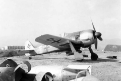 Fw_190G-3_Italy_1943
