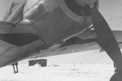 Fw_190_A_10.JG_51_in_Smolensk_March_1943_2