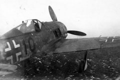 Fw_190_A_black_10_3.JGr_West_Landes_de_Bussac_1944