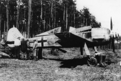 Fw_190_F-8_588717_StabII_SG_2_Czech45