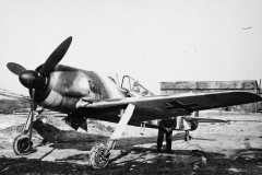 Fw_190_on_field_airfield