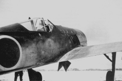Japan_Fw190_2