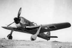 Turkish_Air_Force_Fw_190_Aa-3