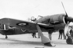fw190_MP499