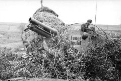 Camouflaged_Grille_Ausf._H_Feuer_Teufel_Italy_1944