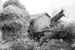 Camouflaged_Grille_Ausf._H_named_Feuer_Teufel_Italy_1944