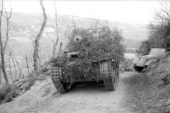 Camouflaged_Grille_Ausf._M_Italy_1944