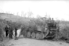 Camouflaged_Grille_Ausf._M_Italy_1944_2